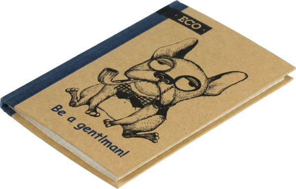 Блокнот А6 Эко бумага в ассортименте Мицар+