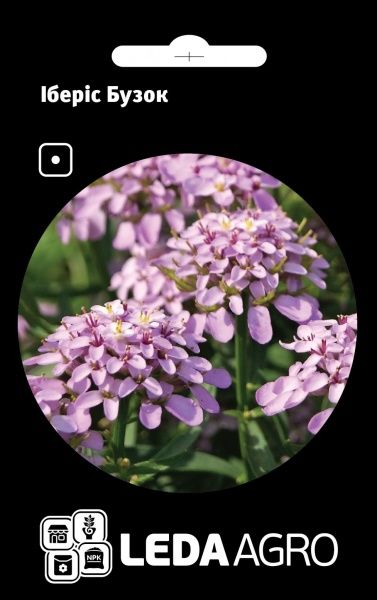 Семена LedaAgro иберис Сирень 0,5 г (4820119796177)