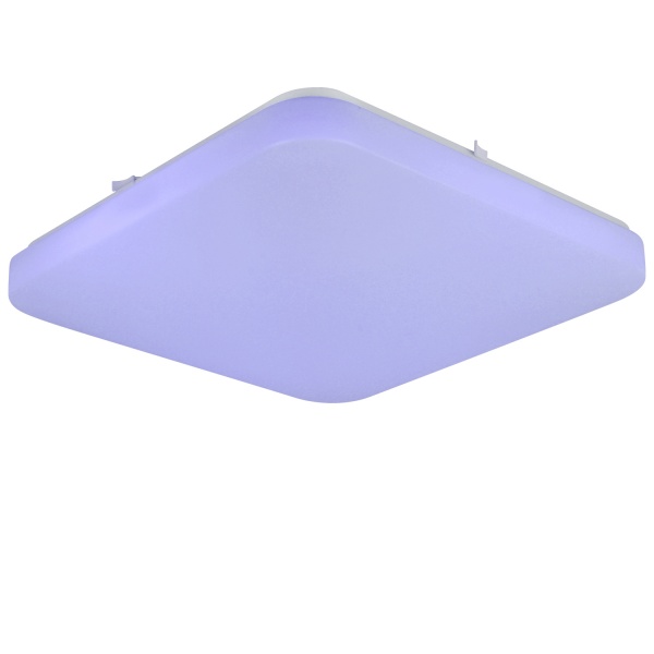 Светильник настенно-потолочный Luna Harmonia/PL450 60 Вт белый 3000-6000 К 