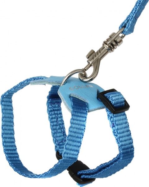 Шлея Dog Extreme из нейлона с поводком 1х115 см голубая