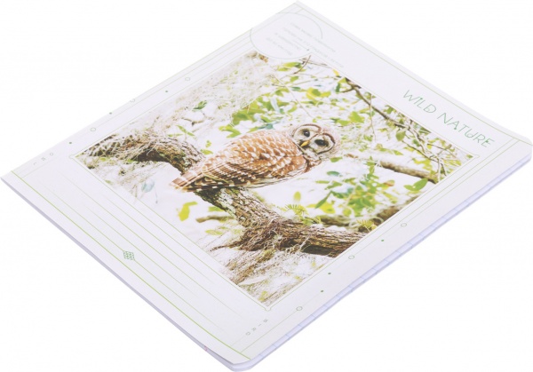 Тетрадь школьная 24 листа в линию УФ-лак в ассортименте