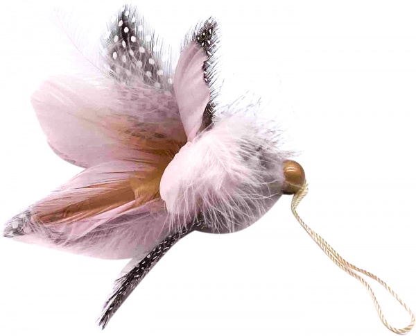 Квітка декоративна Dalian Everglory лілія пір'яна рожева