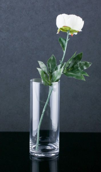 Ваза прозора, 25х10