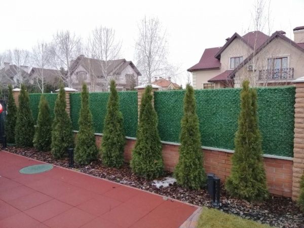 Паркан декоративний Зелений Забор 2 м х 10 м 