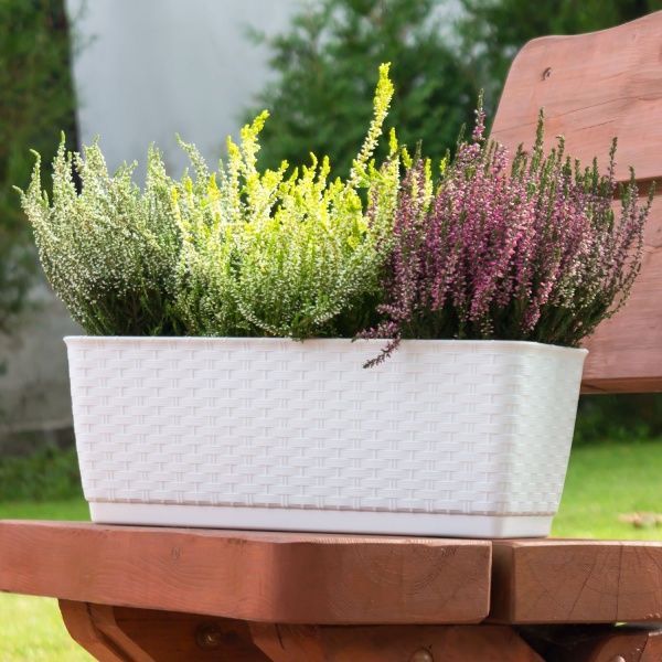 Ящик балконний Prosperplast Ratolla round прямокутний 14,7л білий (76964-449) 