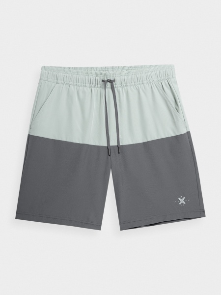 Шорти 4F 4FSS23UBDSM030-47S р. L сірий