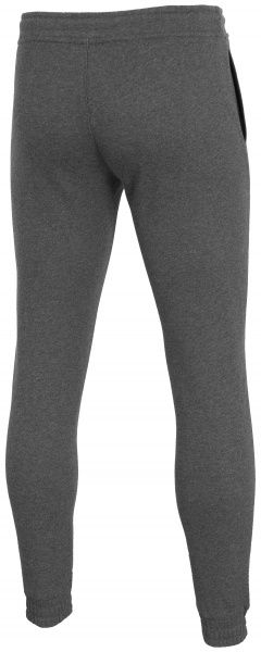 Штани 4F H4Z19-SPMD001-23M р. 2XL сірий