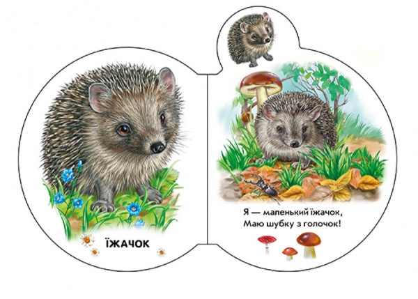 Книга Ирина Солнышко «У лісі» 9-789-667-508-609