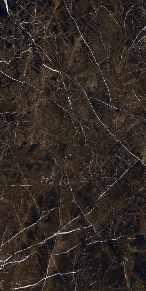 Плитка Allore Group Pulpis Brown F P R Full Lappato 60х120 см