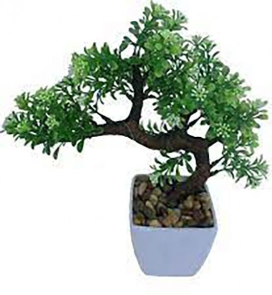Растение Бонсай декорум 15х30 см