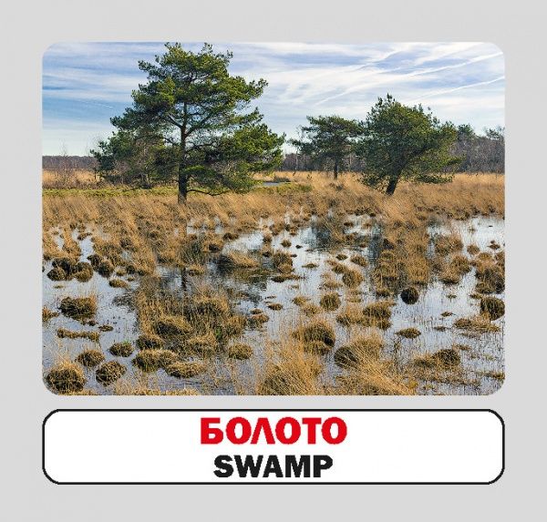 Книга «Навчальний посібник. Природа. англ-укр»