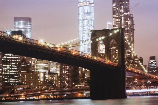 Репродукция New York–2 100-6 50x100 см 