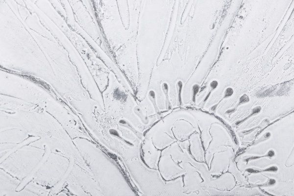 Репродукція Успіх 60x90 см 