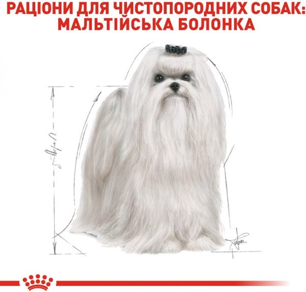 Корм Royal Canin для собак MALTESE ADULT 0,5 кг