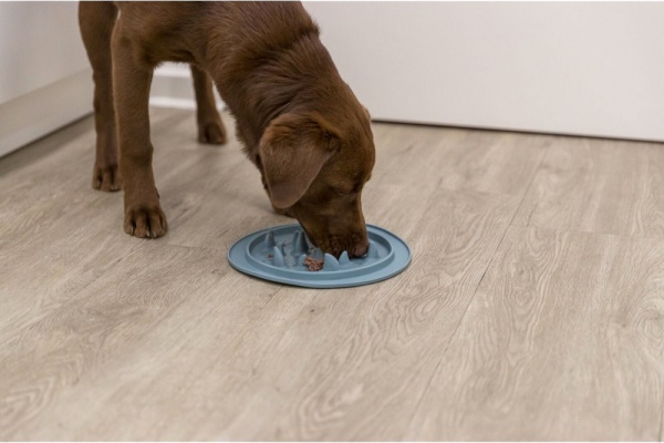Килимок Trixie для собак Повільне годування сіра термопласна гума 24 см в асортименті (25036)