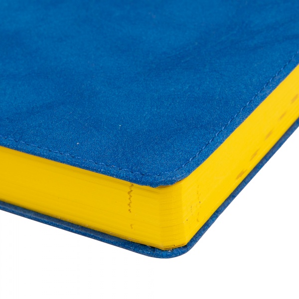 Щоденник датований Case синій 352 стор. Leo Planner Case A6 2024