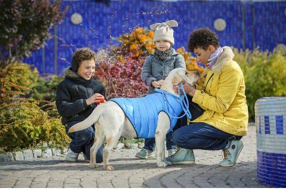 Куртка Airy Vest двухсторонняя для собак XS30 черно-голубая