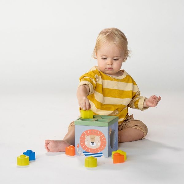Сортер Taf Toys Кубики Африка 12725