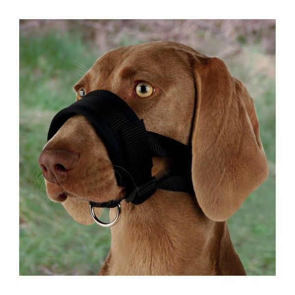 Намордник-петля нейлон L 18-30 см/16-28 см