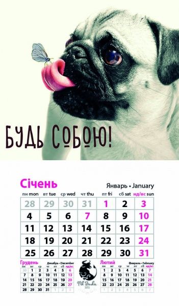 Календар «Магніт (20 видів) на 2021 год» 9786177308224