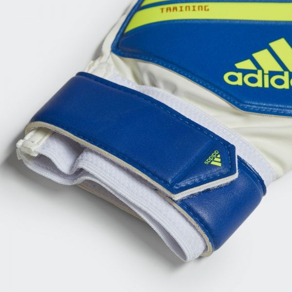 Вратарские перчатки Adidas PRED TRN р. 12 синий DN8564