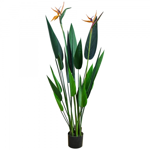 Дерево штучне Strelitzia 120 см TW-25 Engard