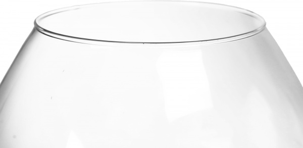 Ваза скляна Теамо Дарина 20,5 см прозора 