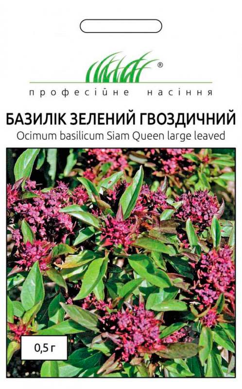 Семена Професійне насіння базилик зеленый Гвоздичный 0,5 г (4823058204284)