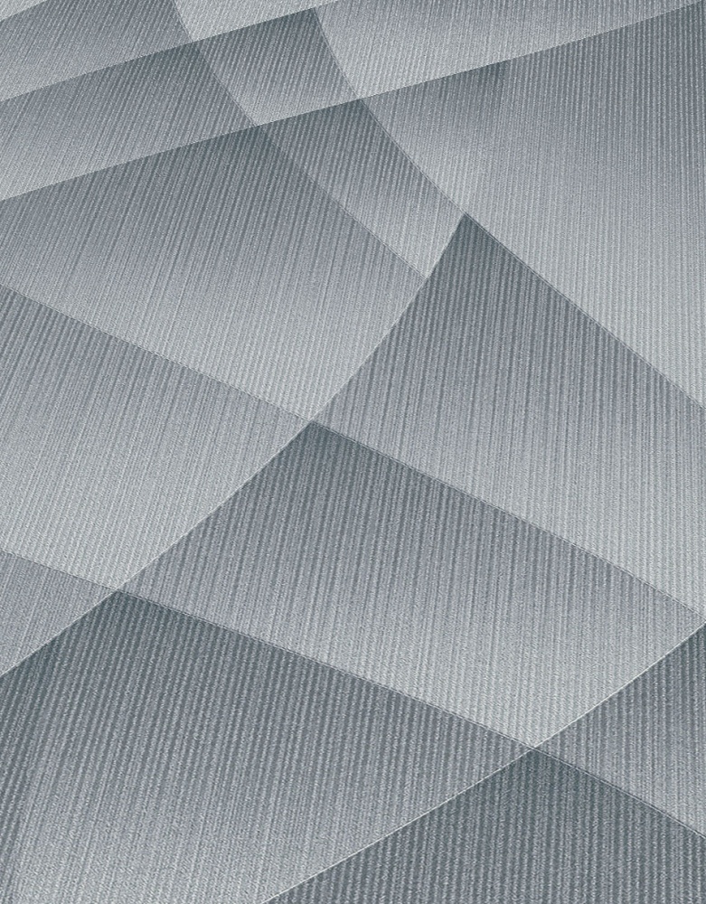 Шпалери вінілові гарячого тиснення Erismann Fashion For Walls 12184-29 1,06x10,05 м