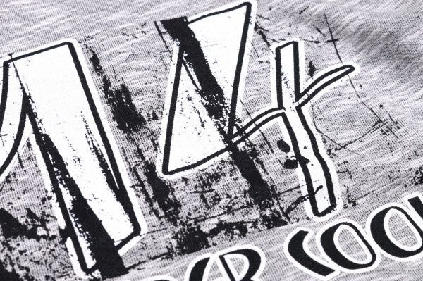 Спортивний костюм Фламінго для дівчинки 723-316 р.146 сірий із молочним 