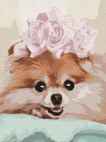 Картина по номерам Любимица Идейка 