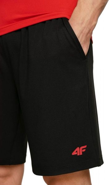 Шорты 4F NOSH4-SKMF003-20S р. L черный