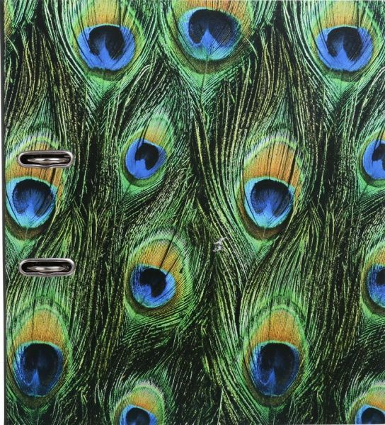 Папка-регистратор Павлин