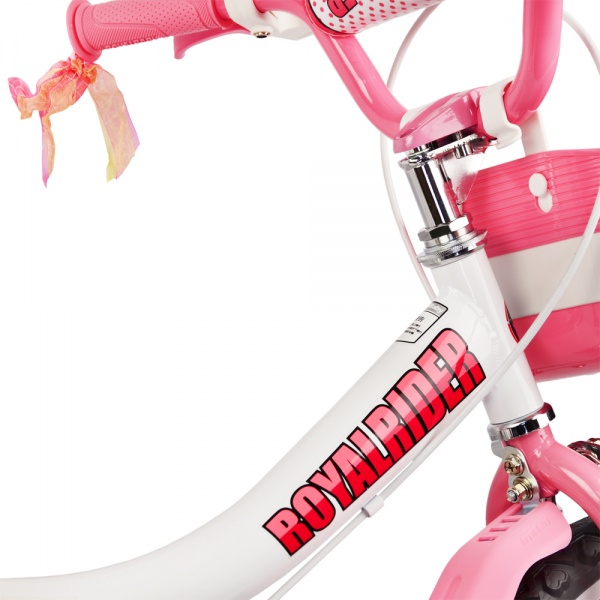 Велосипед детский RoyalBaby Jenny Girls 20