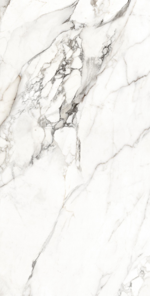 Плитка Allore Group Lago Grey F P R Full Lappato 60x120 см