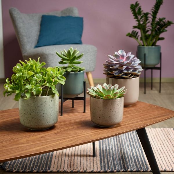 Кашпо керамічне Soendgen Bari 0199-0016-2717 круглий 3,5 л коричневий 