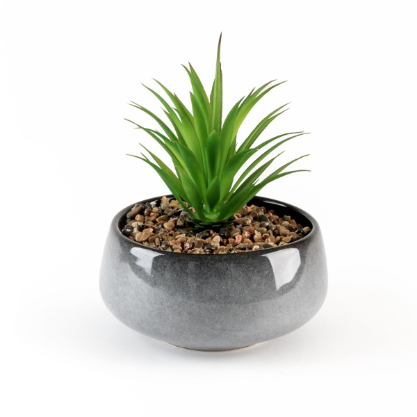 Растение декоративное DH-FLOWERS-19 GREEN/GRAY MVM