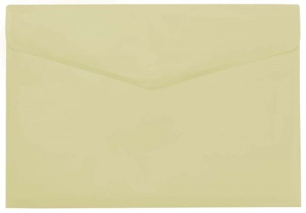 Папка Мульти L6141 А4 бежевая LEO