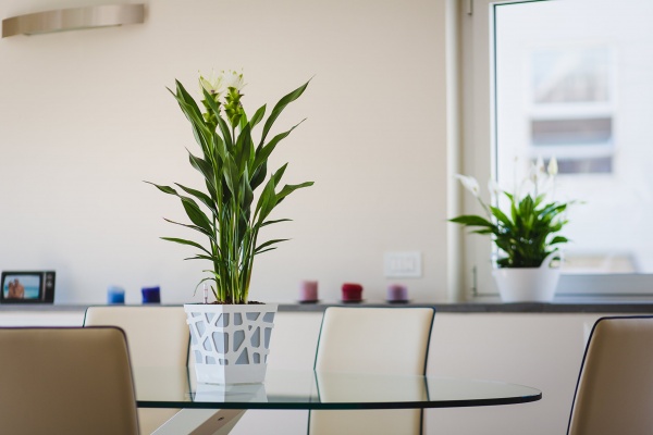 Вазон пластиковий Idel Quadro 17 см квадратний 4,3 л фісташковий (740040) 