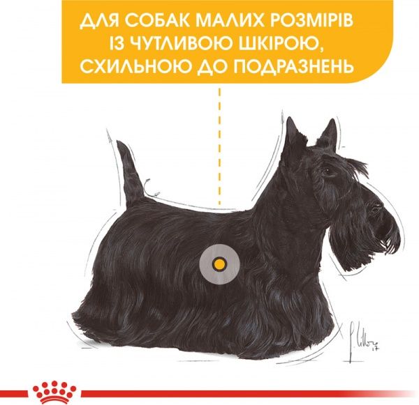 Корм Royal Canin для собак MINI DERMACOMFORT (Міні Дермакомфорт), 1 кг