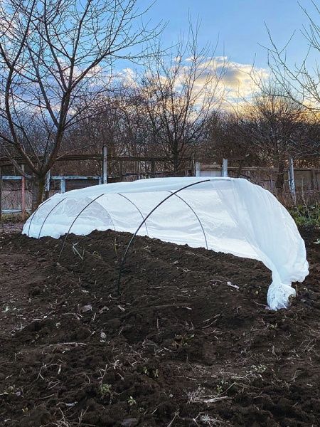 Парник Agrolife 30 г/кв.м 5 м