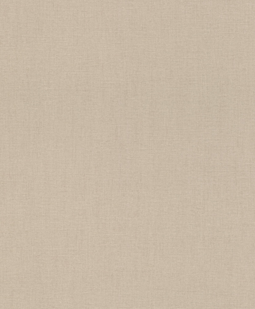 Шпалери вінілові на флізеліновій основі RASCH Florentine XL 820041 1,06x10 м