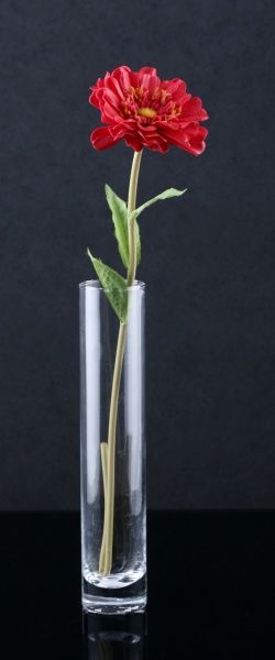 Ваза стеклянная прозрачная 31-108-049 Viola