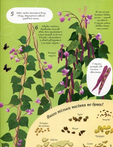 Книга Эмили Боун «Усе починається з насіння…як росте їжа» 978-617-7579-21-1