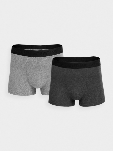 Труси 4F 4FSS23UBXSM022-90M 2XL /сірий 2 шт.
