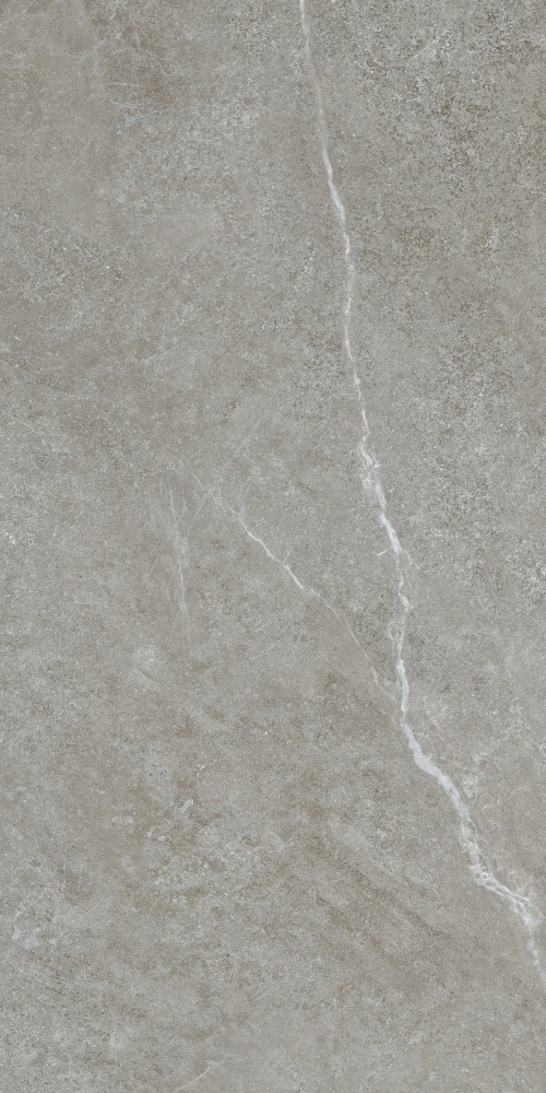 Плитка Allore Group Mariya Grey F P R Mat 60x120 см