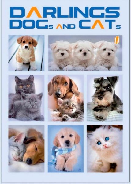 Книга для нотаток А5 60 YES