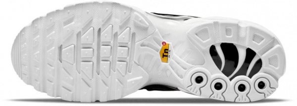 Кросівки Nike WMNS AIR MAX PLUS DM2362-001 р.39 чорний