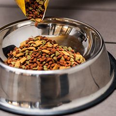 Содержание животных