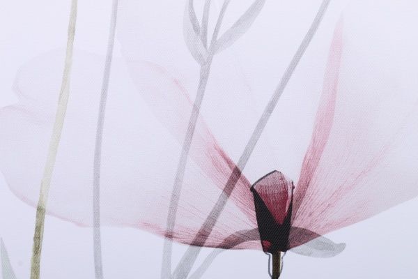 Картина Современная А 60x80 см Styler GL-12524 